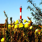 Wangerooge