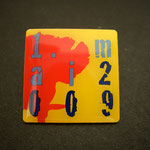 Mainelke 1. Mai 2009 DGB Pin