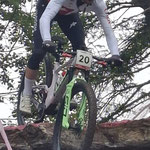 Nino Schurter