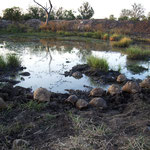 Turtle-Rescue with Mickey & Jamie-Lee Riley