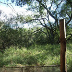 Volunteer Camp – view from toilet 