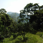 Pico Bonito National Park