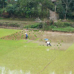 nach Vietnam