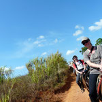 Valle de Viñales