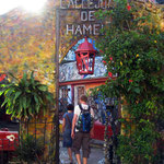 Havanna – Callejon de hamel