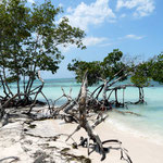 Cayo Jutias