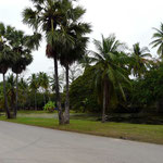 Sukhothai