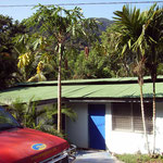 Omega Tours Eco Jungle Lodge