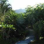 Omega Tours Eco Jungle Lodge
