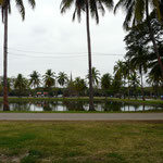 Sukhothai
