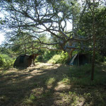 Volunteer Camp – tents