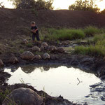 Turtle-Rescue with Mickey & Jamie-Lee Riley