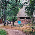 Volunteer Camp