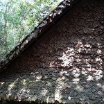 Ho-Chi-Minh-Stadt – Cu Chi Tunnels