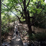 Trinidad – Gran Parque Natural de Collantes