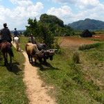 Valle de Viñales