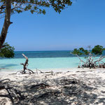 Cayo Jutias