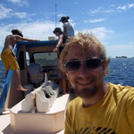 Dolphin Monitoring