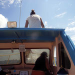 Dolphin Monitoring
