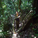 Pico Bonito National Park