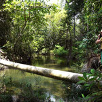 Trinidad – Gran Parque Natural de Collantes