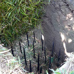 Ho-Chi-Minh-Stadt – Cu Chi Tunnels