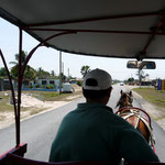 Tour bei Playa Girón mit Jorge