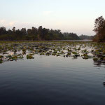 Boca de Guamà