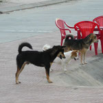 Hoi An