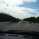Santiago nach Baracoa