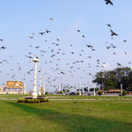 Phnom Penh
