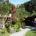 Omega Tours Eco Jungle Lodge