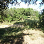 Volunteer Camp – tents