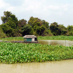 nach Siem Reap über den Tonle Sap