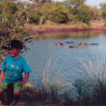 Jamie-Lee & hippos