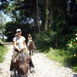 Omega Tours Eco Jungle Lodge – Tagestour zu Pferde