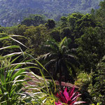 Pico Bonito National Park
