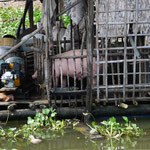 nach Siem Reap über den Tonle Sap