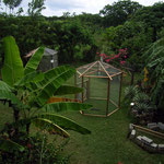 Iguana Research & Breeding Station