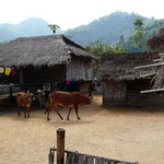 Thaton nach Chiang Rai über den Mae Kok