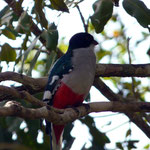Playa Girón – Parque Nacional Cienaga de Zapata