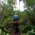 Baracoa – Pferdetour im Umland