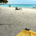Holguin – Playa Guardalavaca