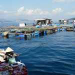 Nha Trang