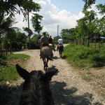Omega Tours Eco Jungle Lodge – Tagestour zu Pferde