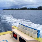 Dolphin Monitoring