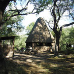 Volunteer Camp