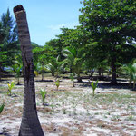 Water Cays
