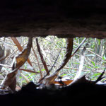 Ho-Chi-Minh-Stadt – Cu Chi Tunnels