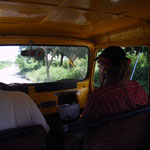Omega Tours Eco Jungle Lodge – Kajak mit der BikerOmi